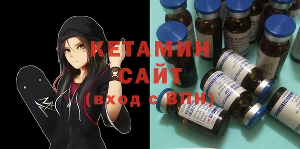 индика Пенза