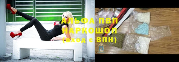 Альфа ПВП Горно-Алтайск