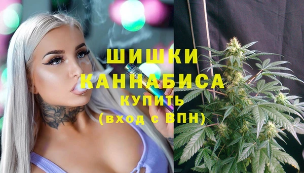 мдпв Горнозаводск
