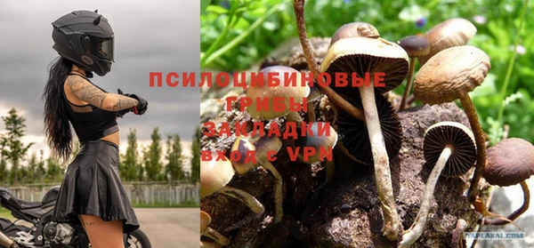 мдпв Горнозаводск
