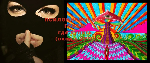 мдпв Горнозаводск