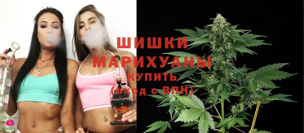 индика Пенза
