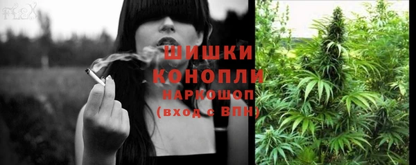 Альфа ПВП Горно-Алтайск